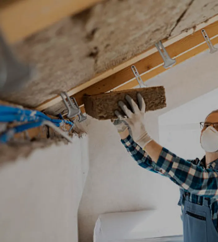 Rénovation Énergétique